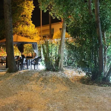 Regina 4* Pise